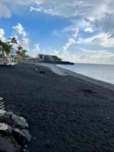 Puerto Naos