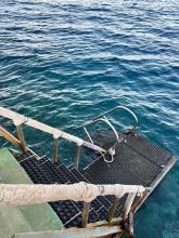 Dahab 8