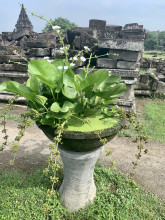 Yogyakarta 2